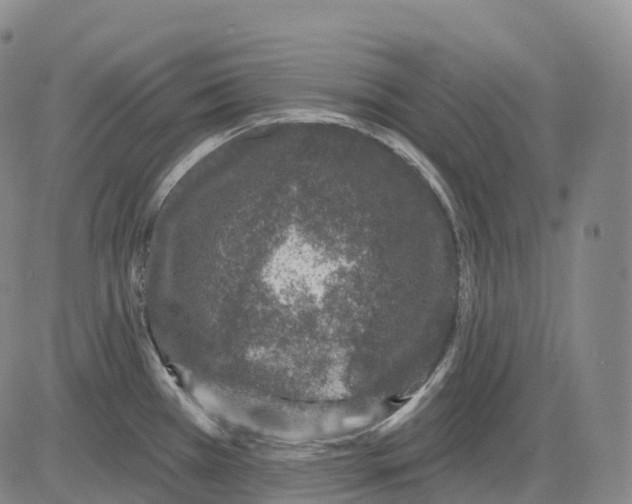 X0000081421385200702021616