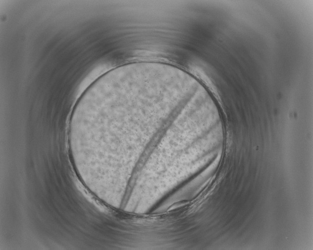 X0000081421386200702021616