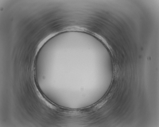 X0000081421387200702021616