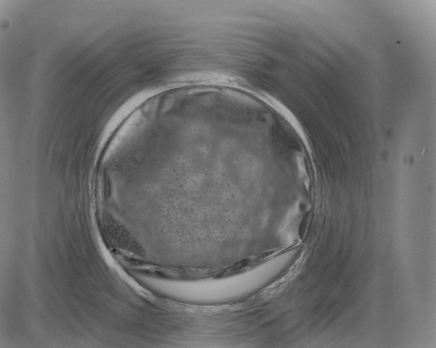 X0000081421389200702021616