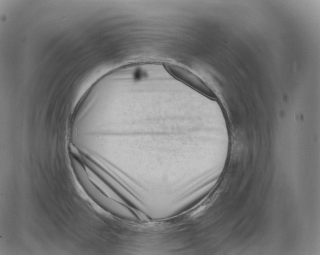 X0000081421390200702021616