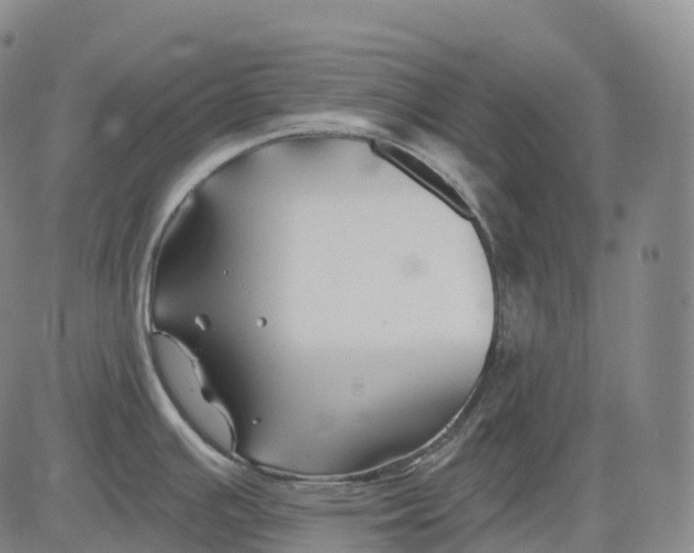 X0000081421391200702021616