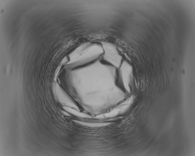 X0000081421393200702021615