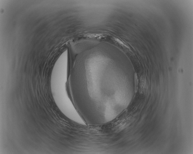 X0000081421394200702021615