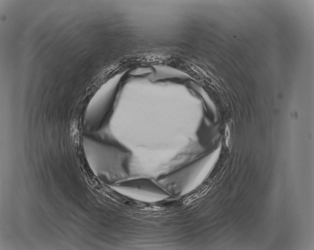 X0000081421395200702021616