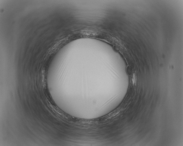 X0000081421396200702021616