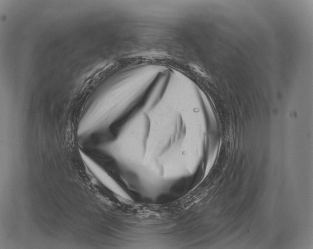 X0000081421398200702021616