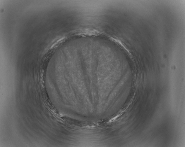 X0000081421399200702021616