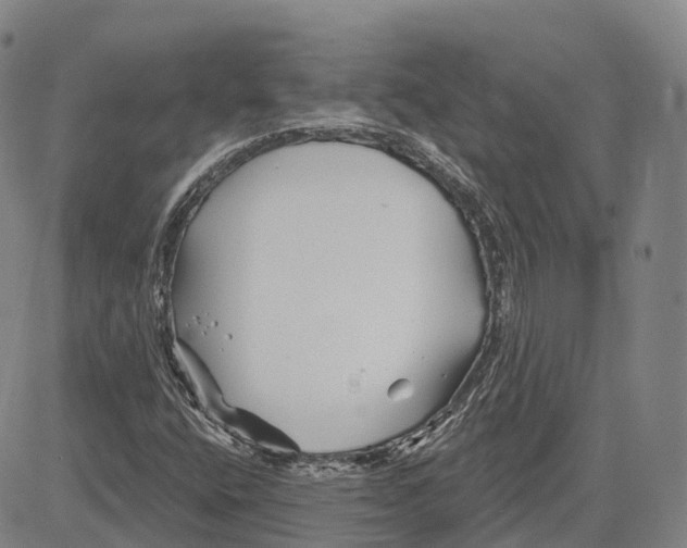 X0000081421400200702021616