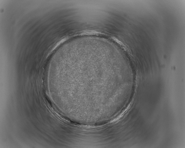 X0000081421401200702021616