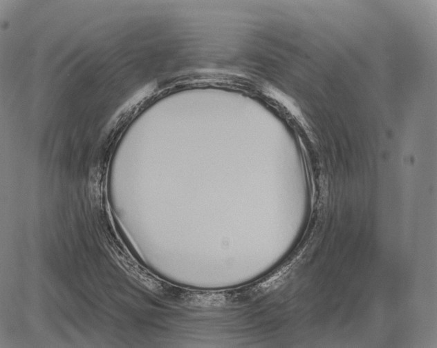 X0000081421403200702021616