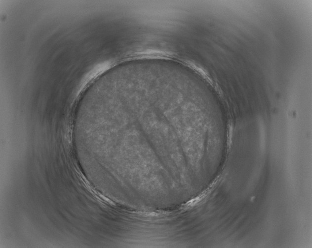 X0000081421405200702021616