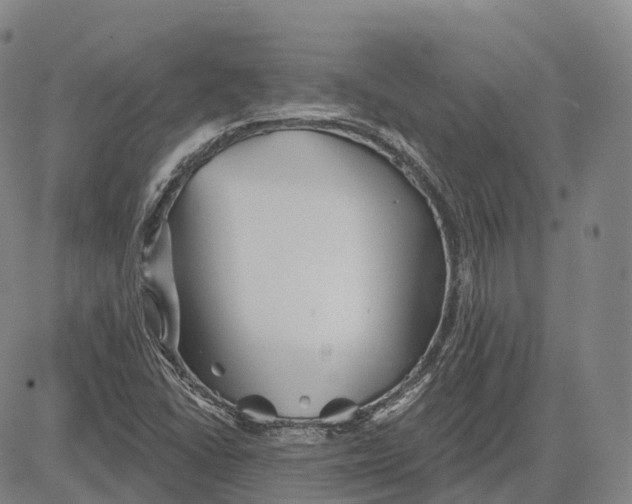 X0000081421406200702021616