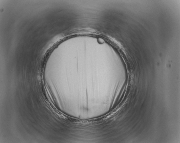 X0000081421407200702021616