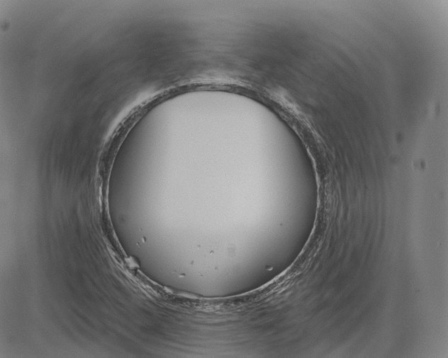 X0000081421408200702021616