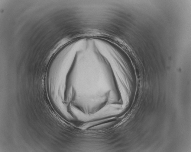 X0000081421409200702021616