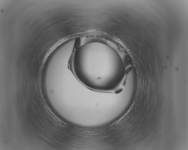 X0000081421410200702021616