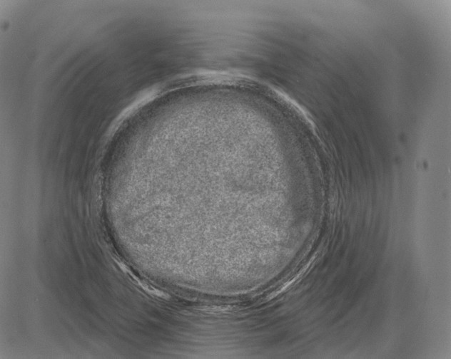 X0000081421411200702021616