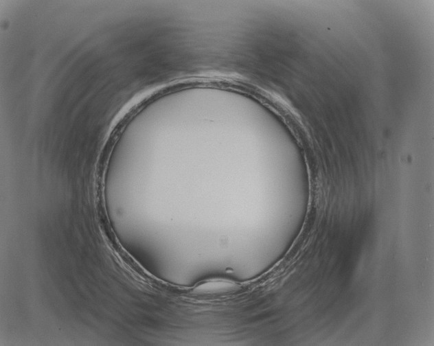 X0000081421412200702021616