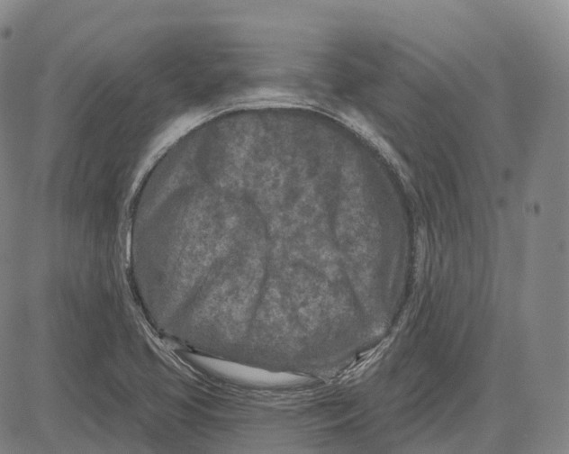 X0000081421413200702021616