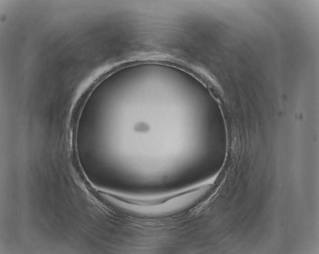 X0000081421414200702021616