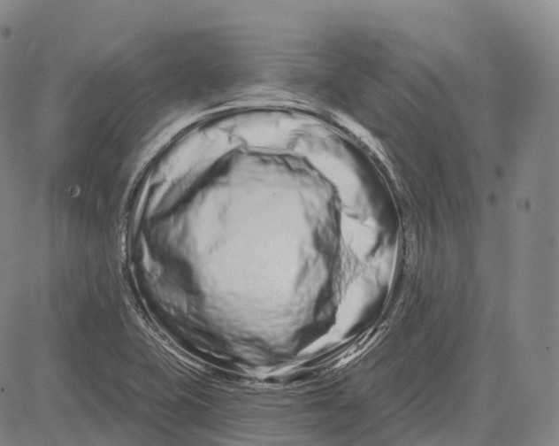 X0000081421415200702021616