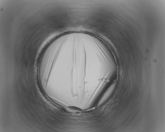 X0000081421416200702021616