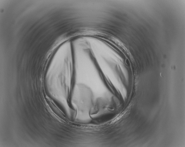 X0000081421417200702021616