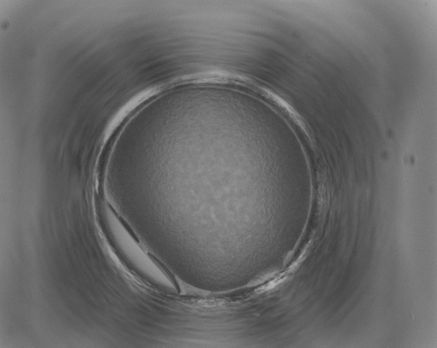 X0000081421418200702021616