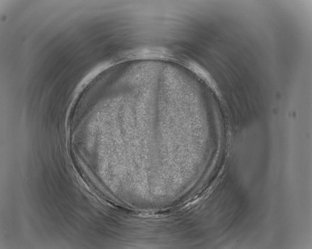 X0000081421419200702021616