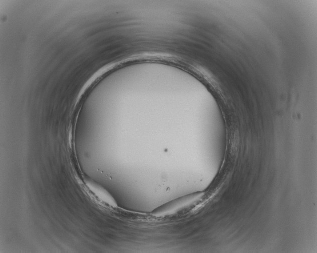 X0000081421420200702021616