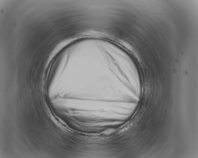 X0000081421421200702021616