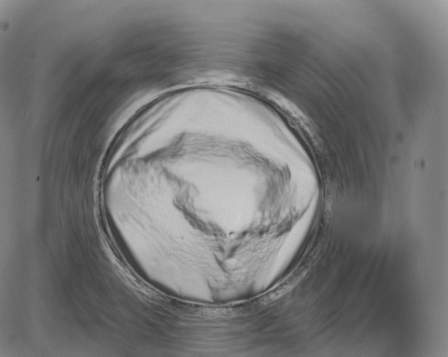 X0000081421423200702021616