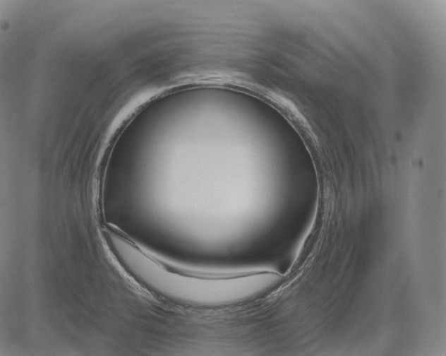 X0000081421424200702021616