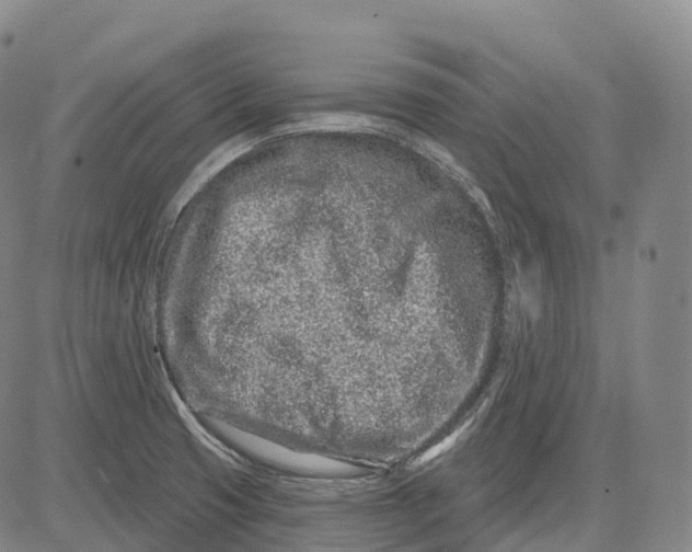 X0000081421425200702021616