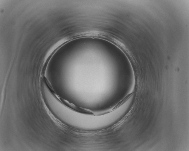 X0000081421426200702021616