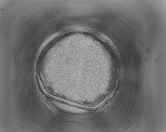 X0000081421427200702021616