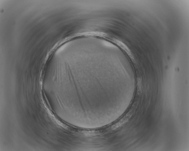 X0000081421428200702021616