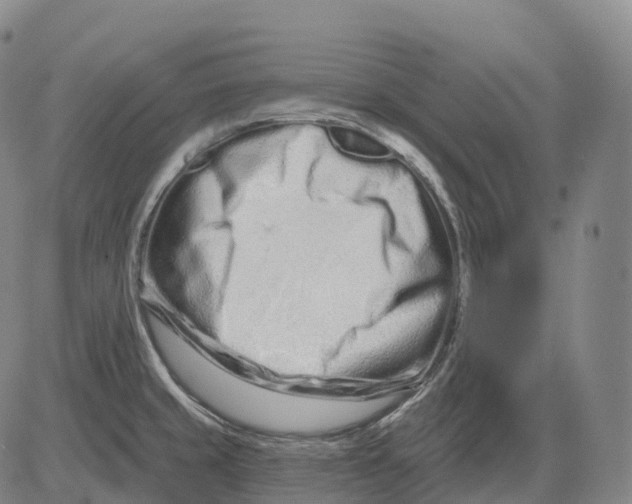 X0000081421429200702021616