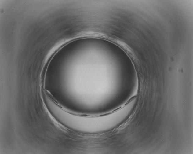 X0000081421430200702021616