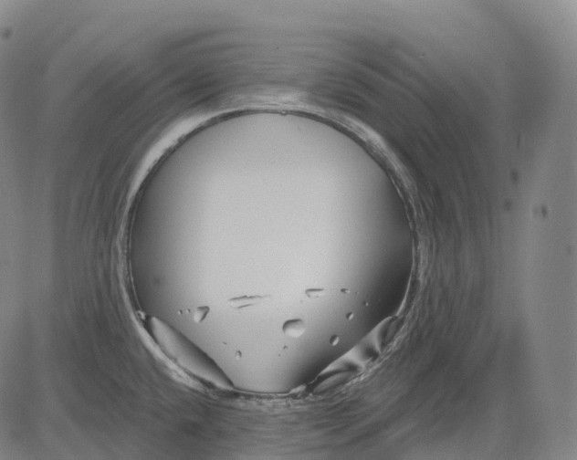 X0000081421432200702021616