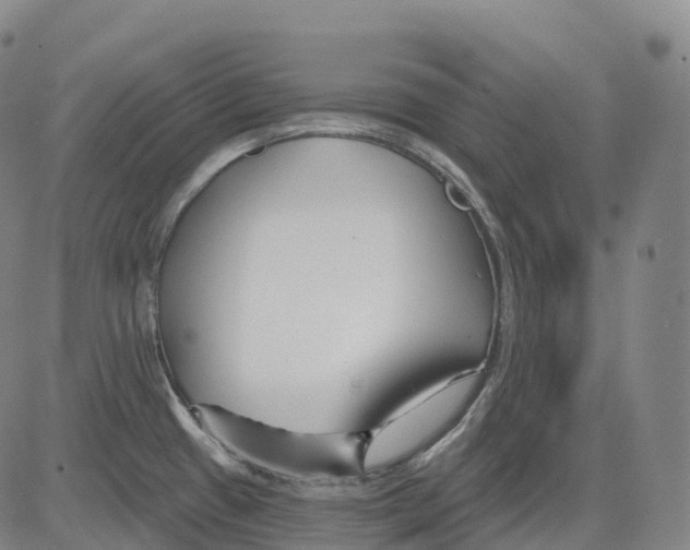 X0000081421433200702021616