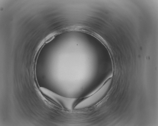 X0000081421434200702021616