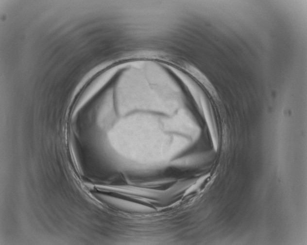 X0000081421436200702021616