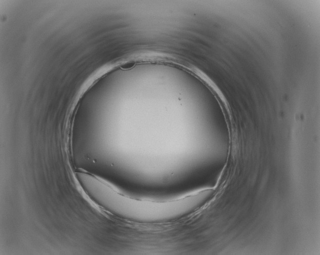 X0000081421437200702021616