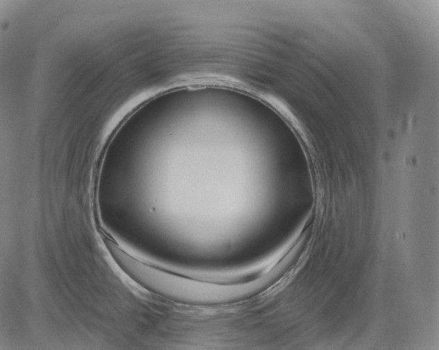 X0000081421438200702021616