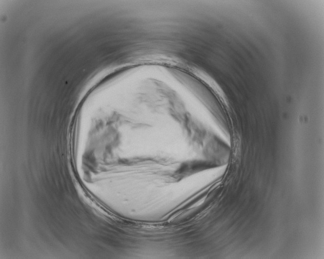 X0000081421439200702021616