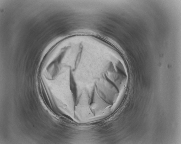 X0000081421440200702021616