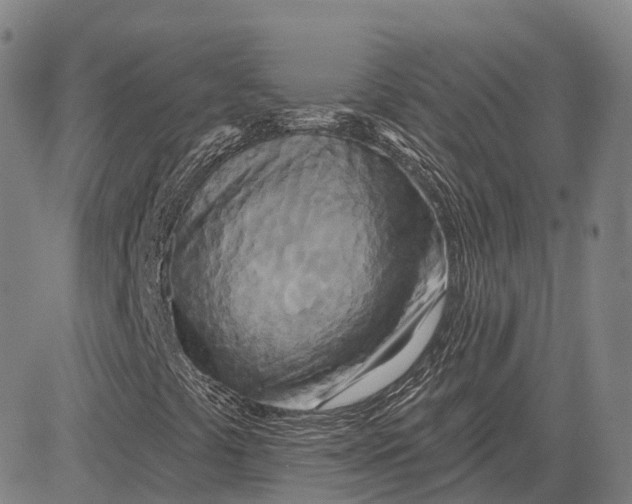 X0000081421441200702021615