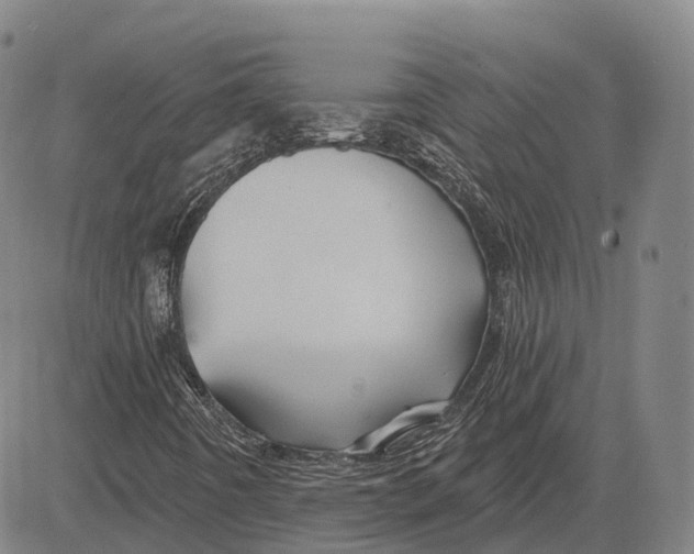 X0000081421442200702021615